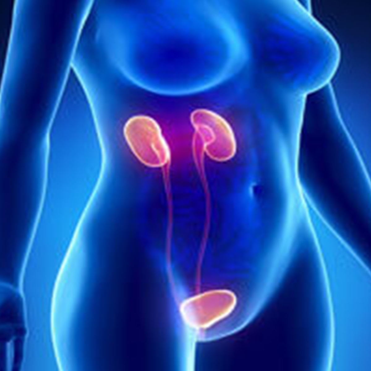 Ουρογυναικολογία 1 ΟΥΡΟΓΥΝΑΙΚΟΛΟΓΙΑ