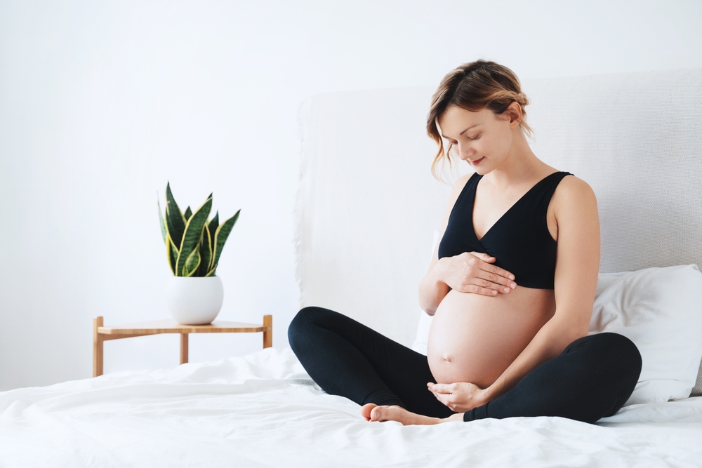 shutterstock 2391528781