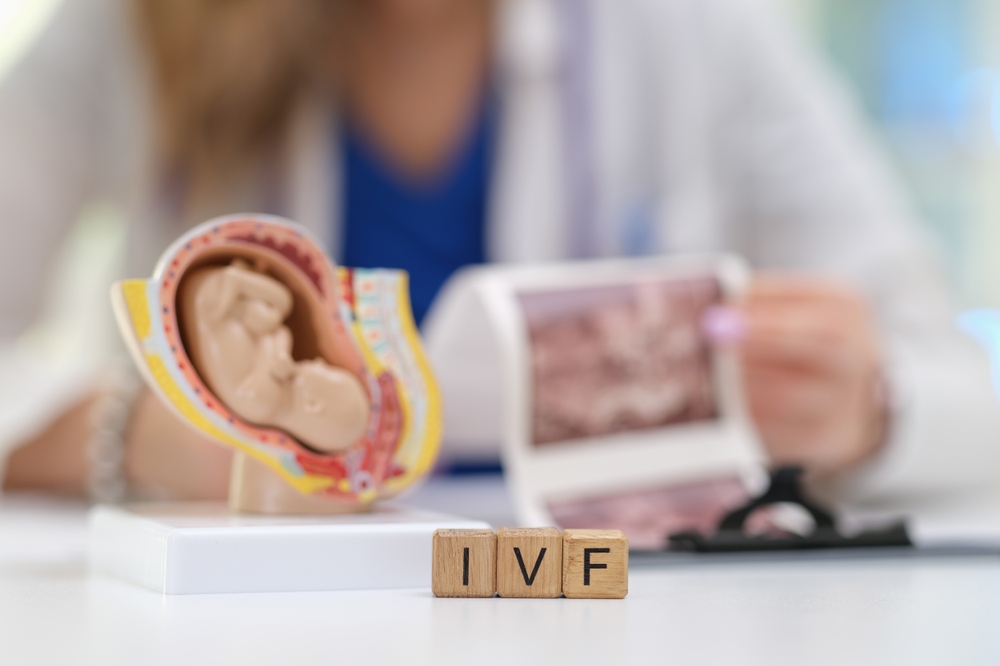 shutterstock 2572301447 1